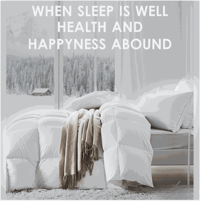 Duck Feather & Down Quilt – Lightweight Warmth Without the Heavy Feel