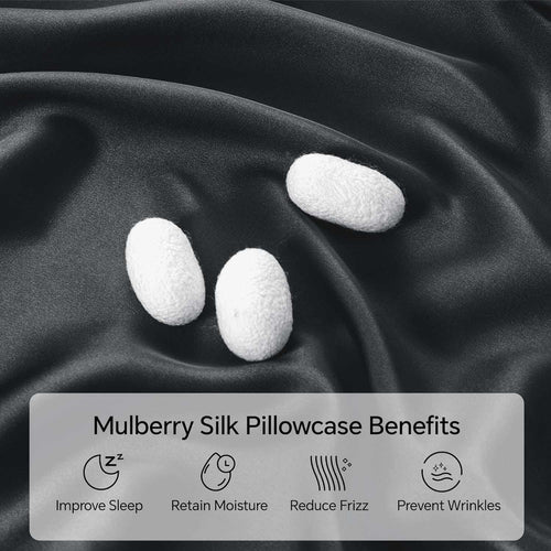 Silk Pillowcase (Set of 2) - Mulberry Silk Pillowcase